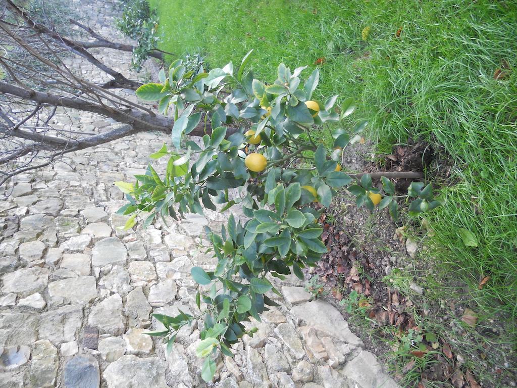 Casa Maya Brenzone sul Garda Bagian luar foto